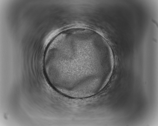 X0000100880007200807071137