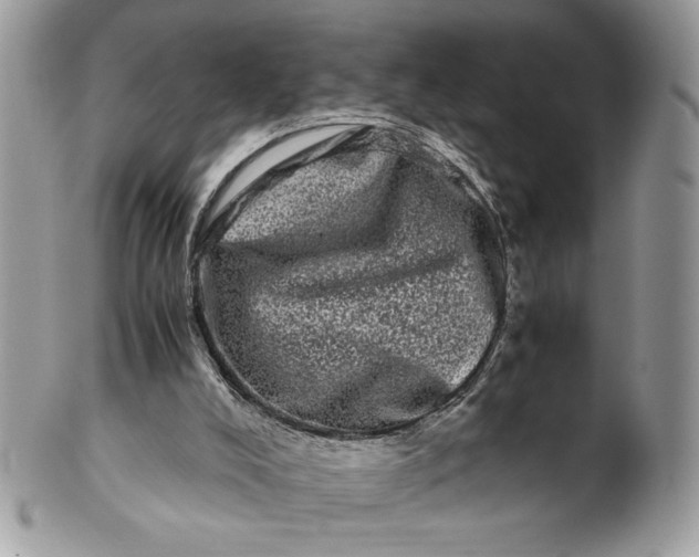 X0000100880008200807071137