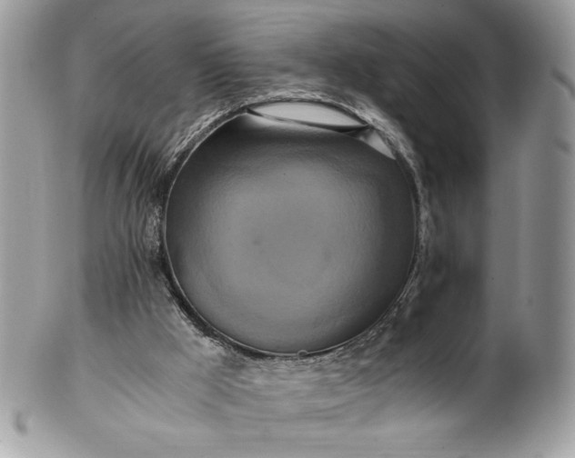 X0000100880009200807071137