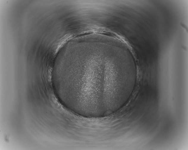 X0000100880010200807071137