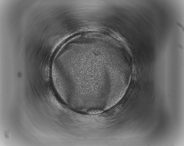 X0000100880012200807071137