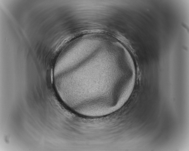 X0000100880013200807071137