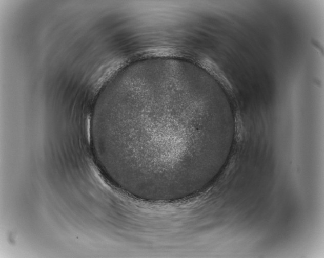 X0000100880014200807071137