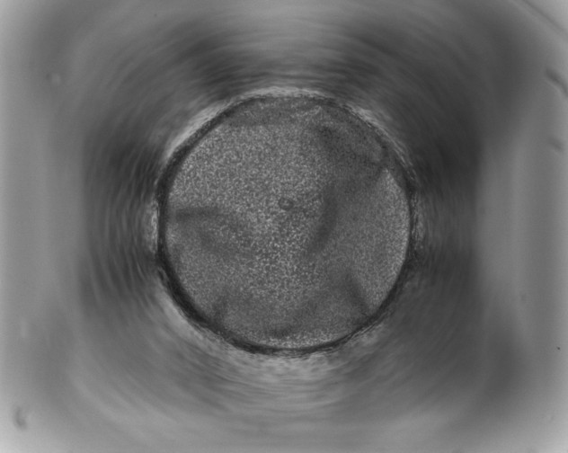 X0000100880016200807071137