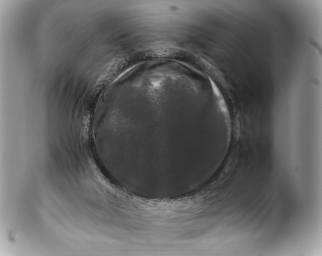 X0000100880018200807071137