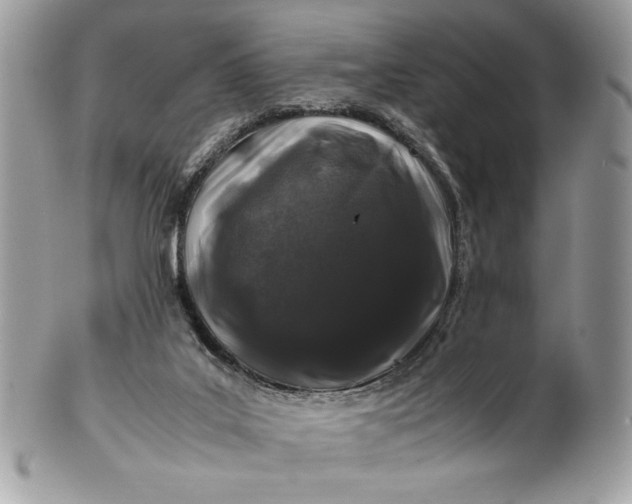 X0000100880019200807071137