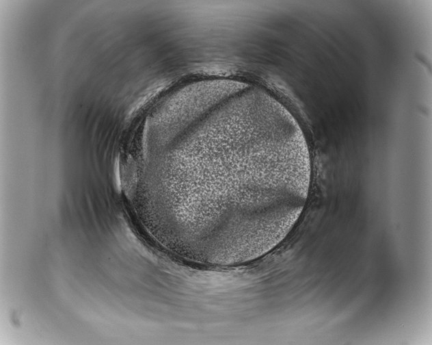 X0000100880020200807071137