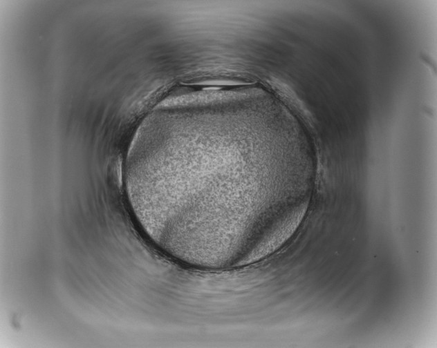 X0000100880021200807071137