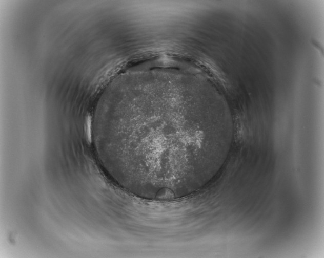 X0000100880022200807071137