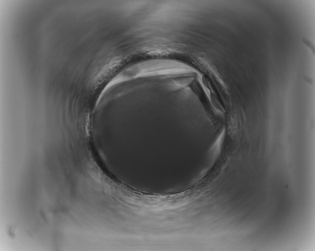 X0000100880023200807071137