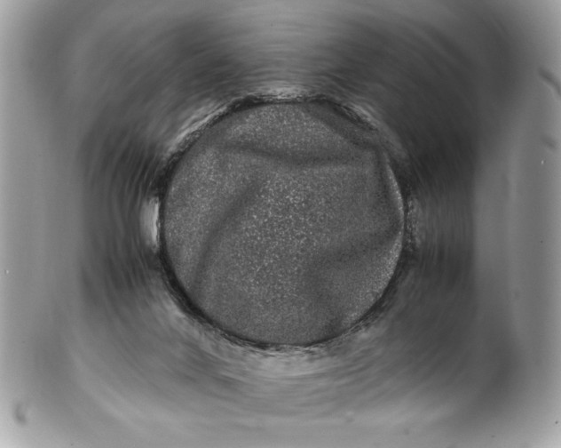 X0000100880024200807071137