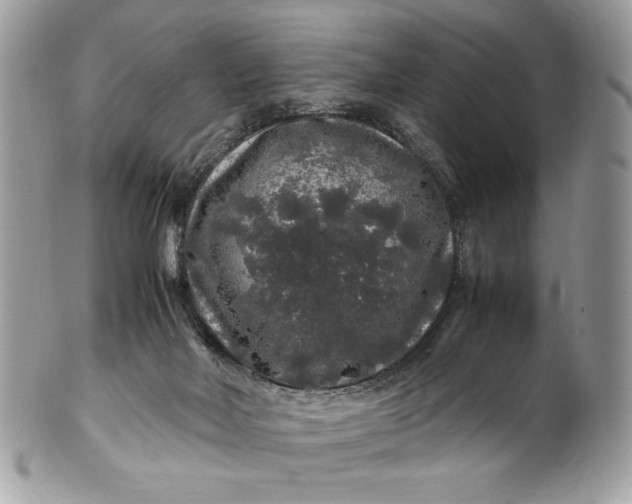 X0000100880026200807071137