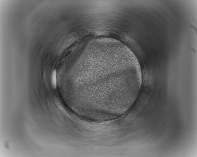 X0000100880028200807071137