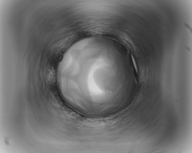 X0000100880029200807071137