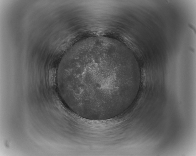 X0000100880030200807071137