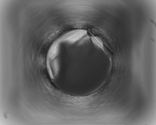 X0000100880031200807071137