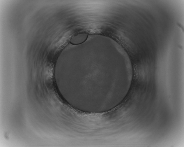 X0000100880032200807071137