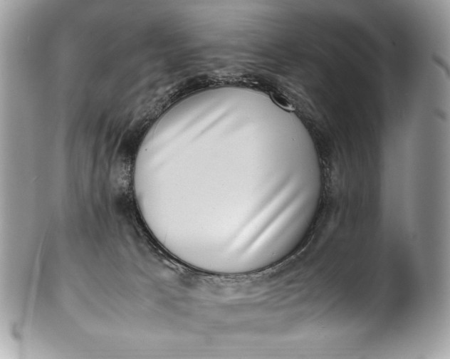 X0000100880033200807071137