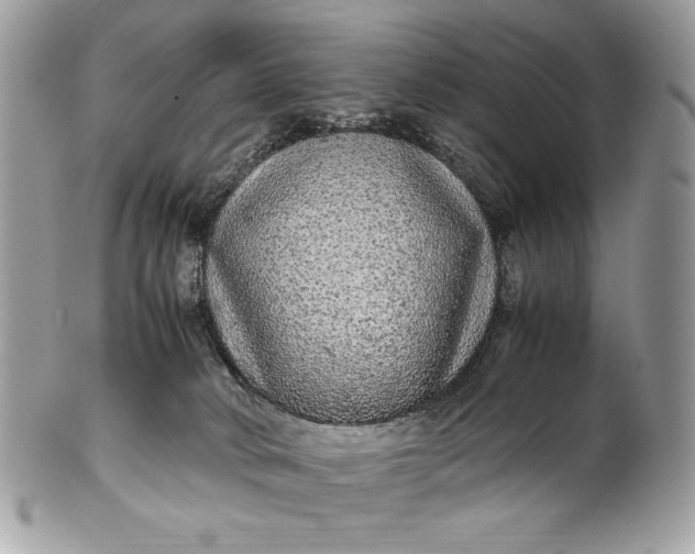 X0000100880034200807071137