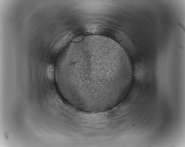 X0000100880036200807071137