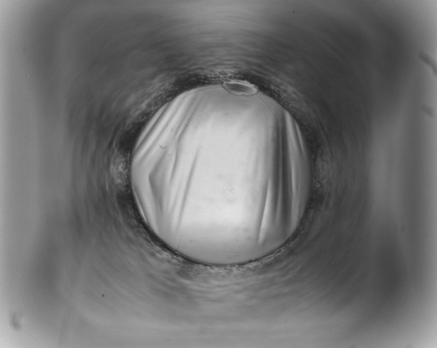 X0000100880037200807071137