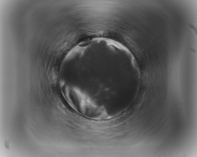 X0000100880039200807071137