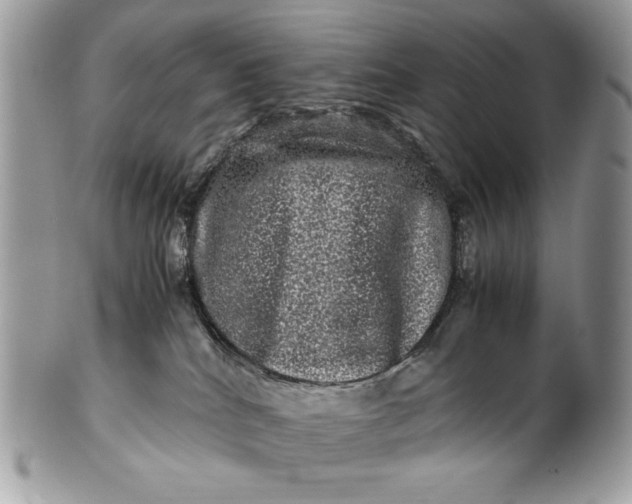 X0000100880040200807071137