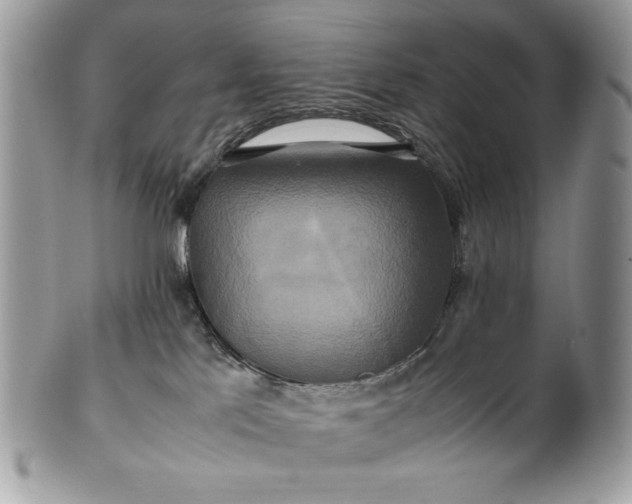 X0000100880041200807071137