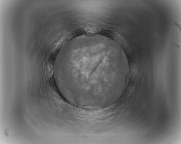 X0000100880043200807071137