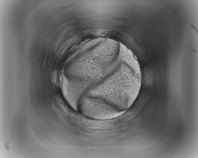 X0000100880044200807071137