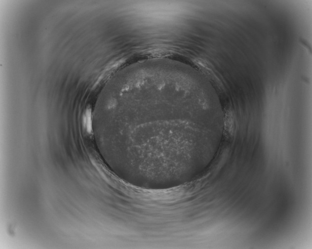 X0000100880046200807071137