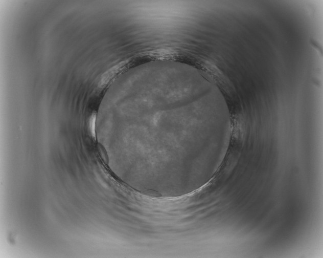 X0000100880047200807071137