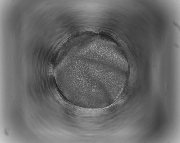 X0000100880048200807071137