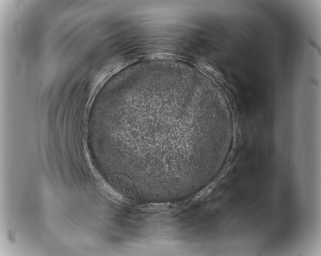 X0000100880049200807071136