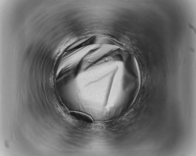 X0000100880050200807071136