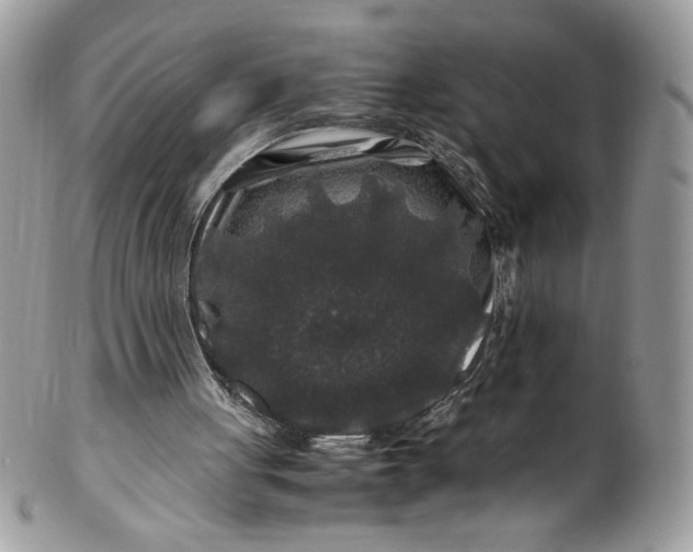 X0000100880051200807071136