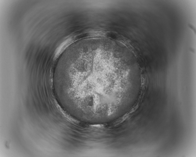 X0000100880053200807071136