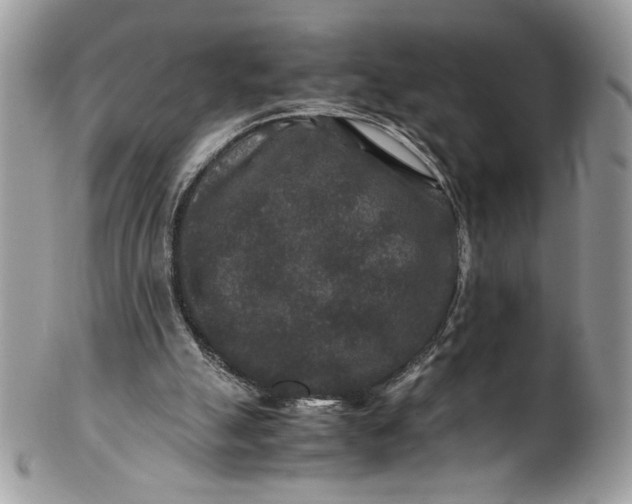 X0000100880055200807071136