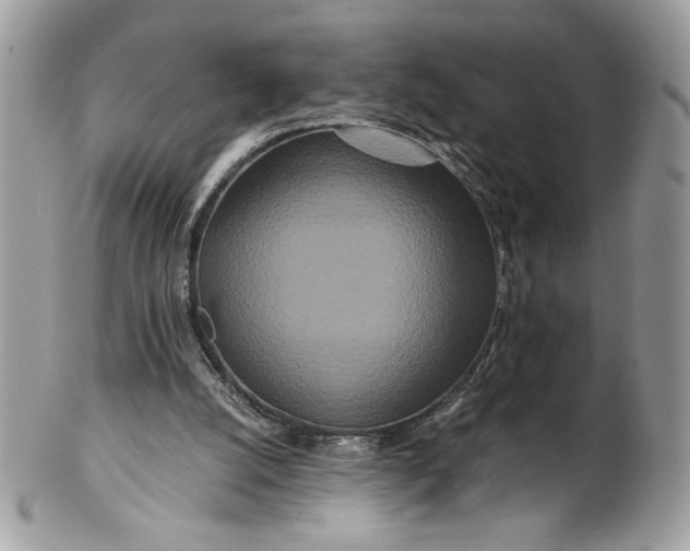 X0000100880056200807071136