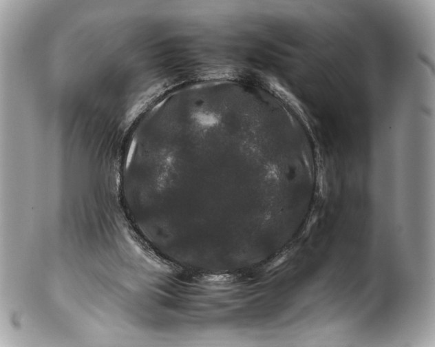 X0000100880059200807071136