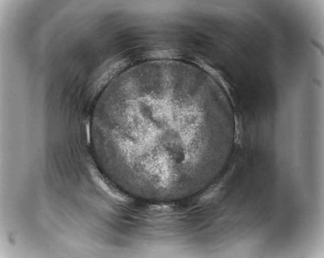 X0000100880061200807071136