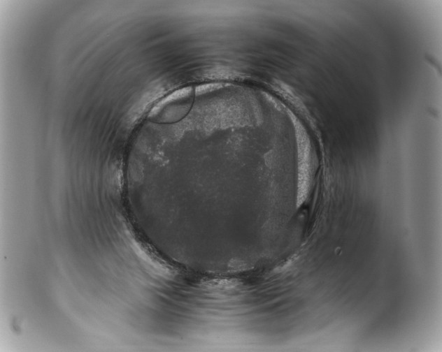 X0000100880063200807071136