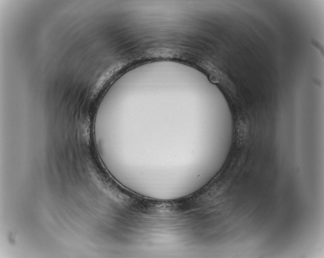 X0000100880064200807071136