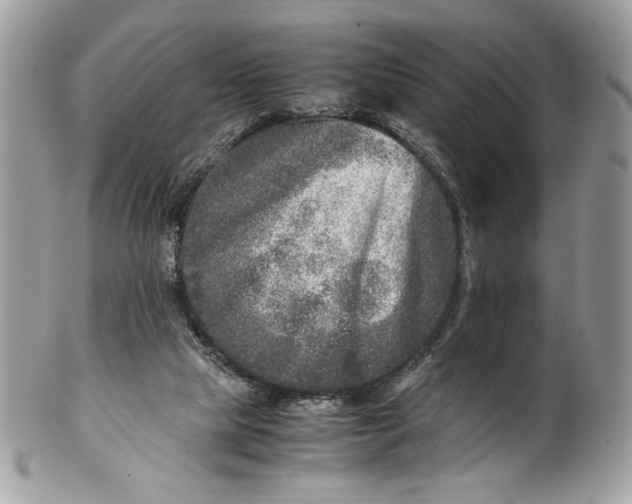 X0000100880065200807071136