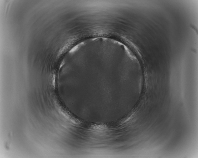 X0000100880067200807071136