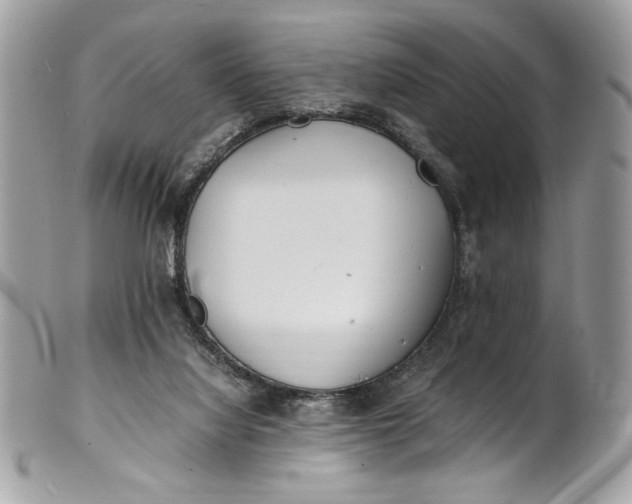 X0000100880068200807071136