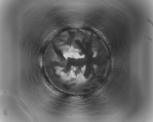 X0000100880069200807071136