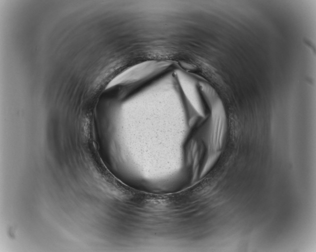 X0000100880071200807071136