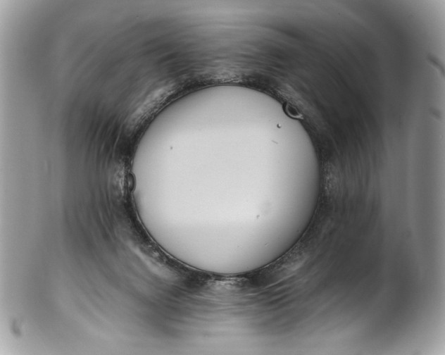 X0000100880072200807071136