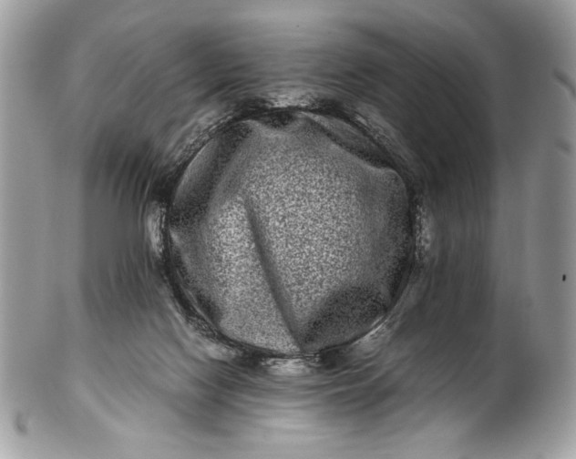 X0000100880074200807071136